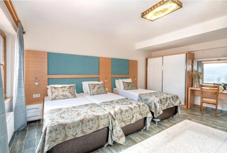 Avena Mountain Hotel +16 — 7