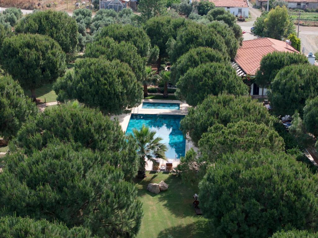 Casa Elia Datça — 3