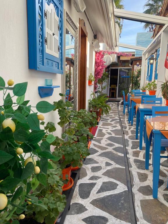Dion's Hotel Sığacık — 8
