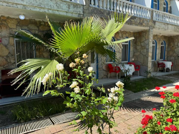 Erdek Talia Beach Otel — 10