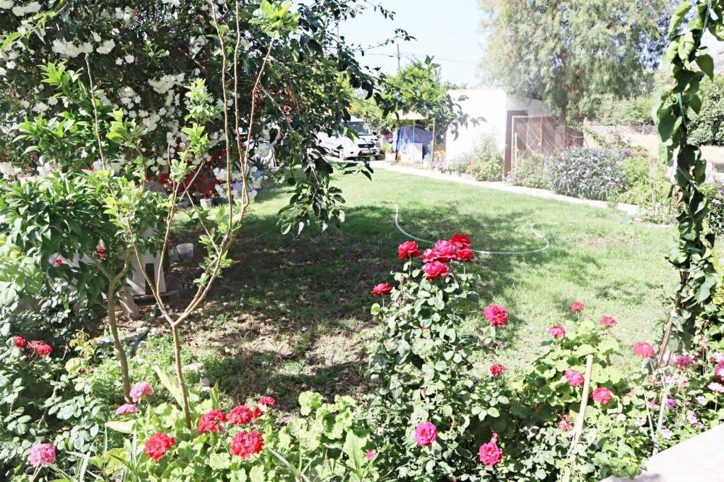 Ilgın Pansiyon&Restaurant — 9