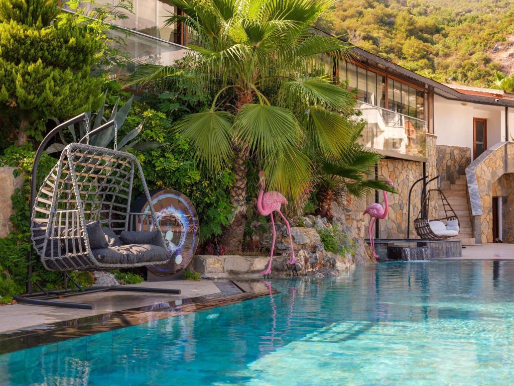 Illusion Beach Club Hotel +16 — 2