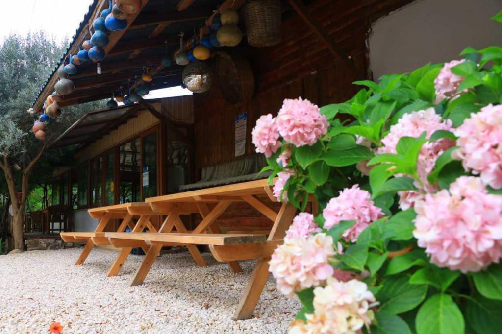 Olympos Otantik Pansiyon — 10