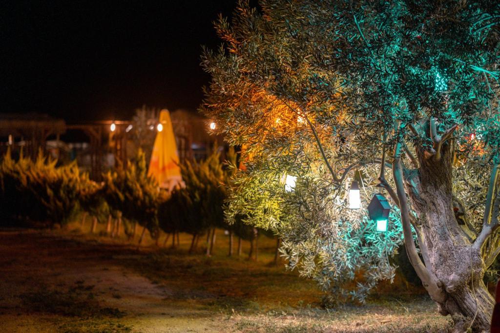 Paradeisos Camping & Bungalov By Şamata — 9