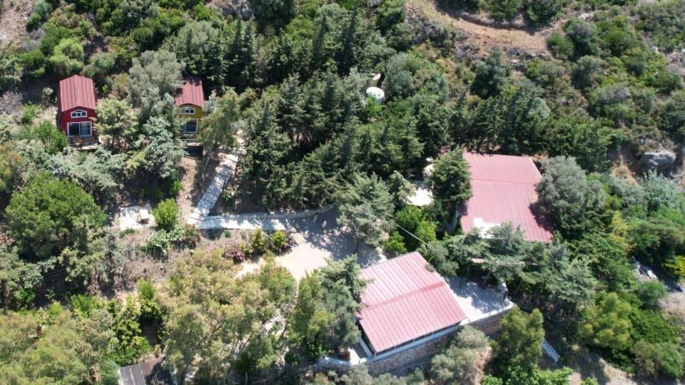 Sole Foça — 2