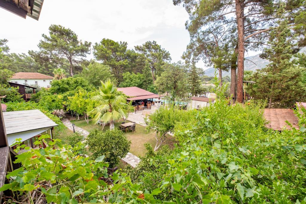Sunthalia Olympos — 7