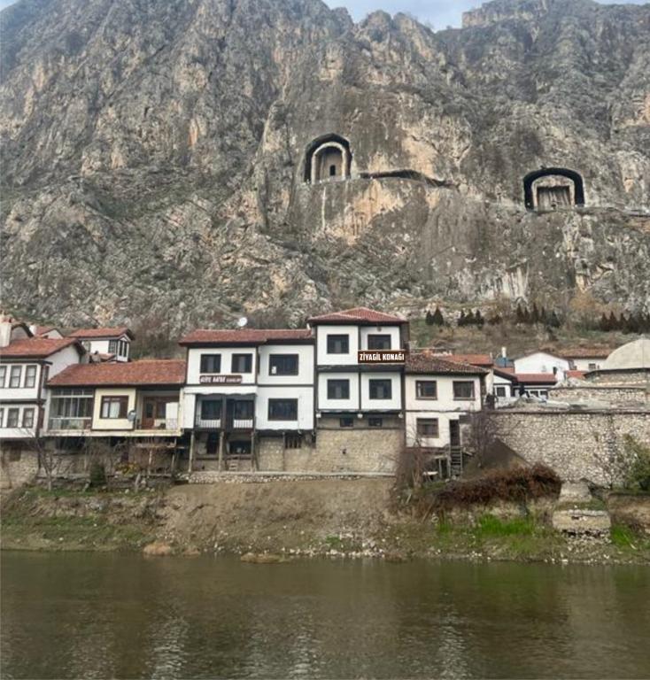 Ziyagil Konağı