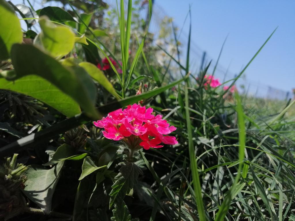 Deniz Apart — 3