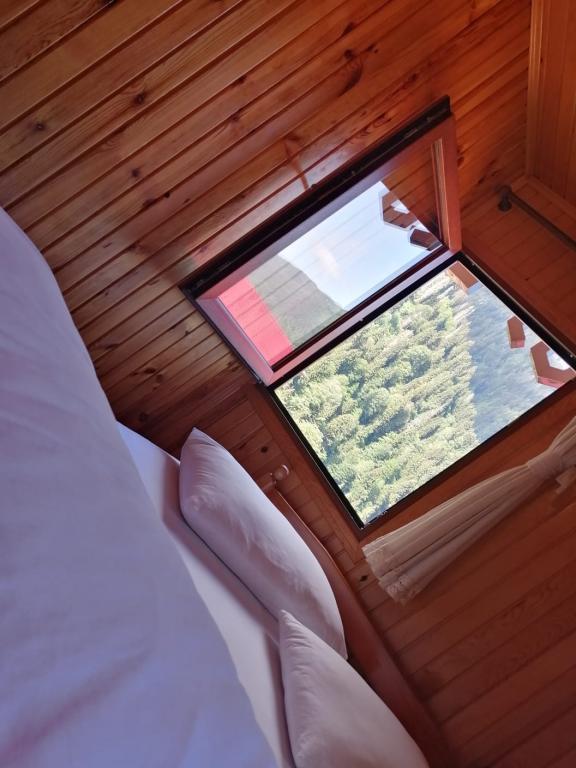 Ayder Petek Otel — 6