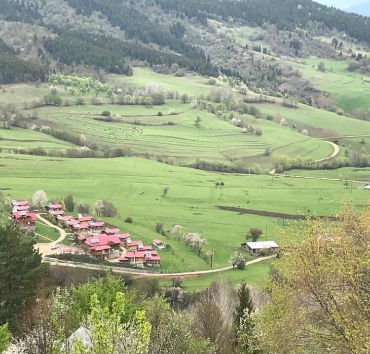 Laşet Bungalov Tatil Köyü — 5