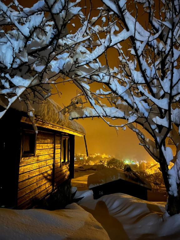 Laşet Bungalov Tatil Köyü — 1