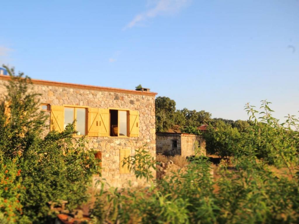 Teora Butik Otel — 1