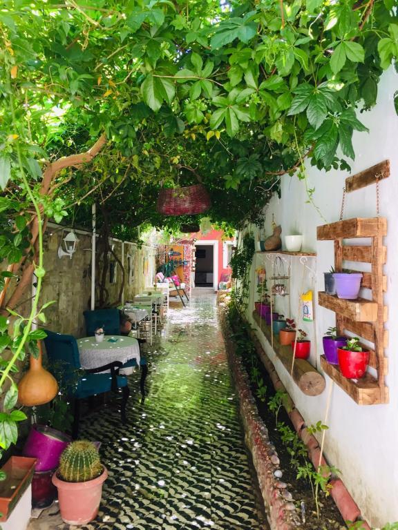 Lavinya Pension Kuşadası