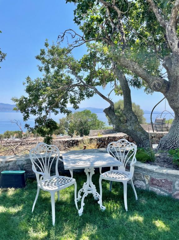 Assos Gazebo Hotel — 3