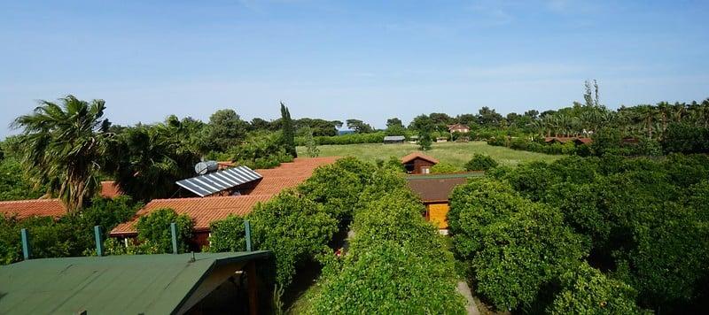 Merhaba Hotel Bungalows Çıralı — 4