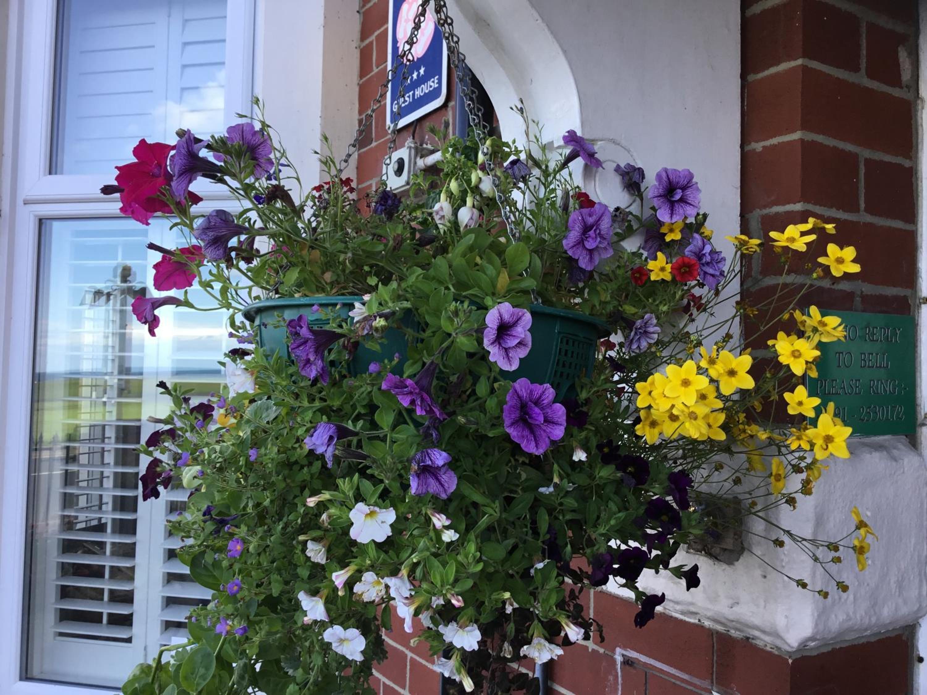 The Cara Guesthouse